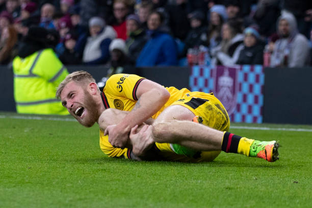 游泳界的璀 游泳界的璀